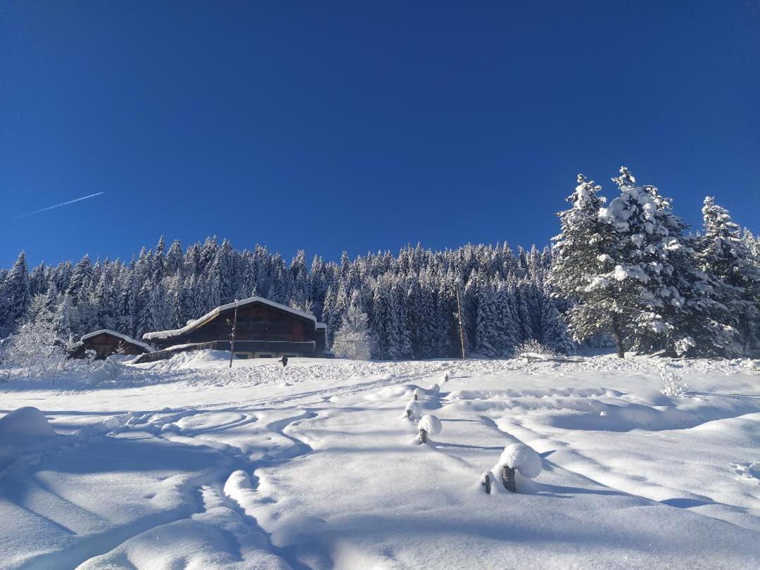 Chalet Lisa B&B Morzine Eksteriør bilde